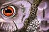 Strangeband's Avatar